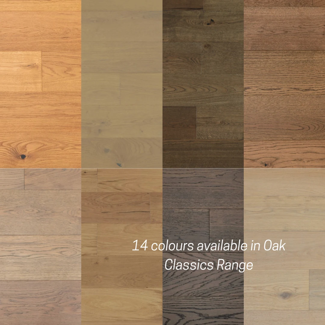 Sunstar Oak Classics